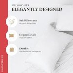 Queen Size 100% Egyptian Cotton Bed Sheet Set