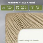 Luxury Egyptian Cotton Queen Bed Sheet Set