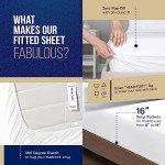 Luxury Egyptian Cotton Queen Fitted Sheet - Sand