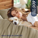 Luxury 100% Cotton Queen Bed Sheet Set