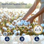 Luxury 100% Cotton Queen Bed Sheet Set