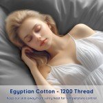 Luxury Egyptian Cotton Bed Sheet Set - Queen