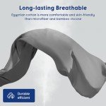 Luxury Egyptian Cotton Bed Sheet Set - Queen