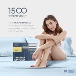 Luxurious Light Blue Egyptian Cotton King Sheet Set