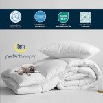 Serta Queen Goose Down Cotton Comforter Set