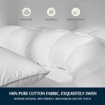 Serta Queen Goose Down Cotton Comforter Set