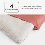 Beige Queen Comforter Set - 3 Piece Bedding