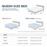Beige Queen Comforter Set - 3 Piece Bedding