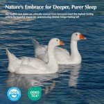 Pacific Coast King Size Fluffy Goose Down Comforter