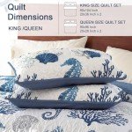 Coastal Blue Quilt Set for Queen Beds