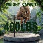 Sturdy Twin Over Twin Metal Bunk Bed (Black)