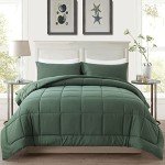 Sage Green Twin Comforter Set with Pillow Case
