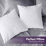 Utopia Bedding White Throw Pillow Inserts - 26x26