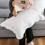 Ultra Soft Quilted Pillow Shams Set of 2