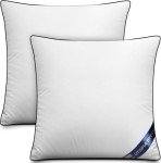Utopia Bedding Decorative Throw Pillow Inserts - 26