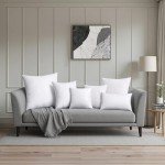 MIULEE Premium 12x20 Inch Rectangle Pillow Insert