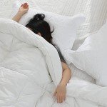 Ultra Soft Quilted Pillow Shams Set of 2