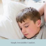 White Throw Pillow Inserts - 4 Pack (18x18)