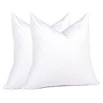 Set of 2 18x18 Decorative Feather Pillow Inserts