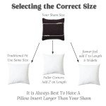 Set of 2 18x18 Decorative Feather Pillow Inserts