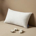 12x20 Inch Premium Fluffy Throw Pillow Insert
