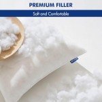 12x20 Inch Premium Fluffy Throw Pillow Insert