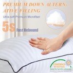 Yettbea 18'' x 18'' Decorative Throw Pillows - Set of 2