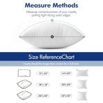 12x20 Inch Premium Fluffy Throw Pillow Insert