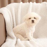 Buttery Ivory Reversible Throw Blanket 50x60 inches