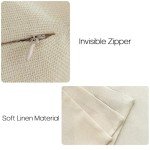 Light Blue Decorative Pillow Covers Set of 4