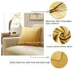 Gold Velvet Throw Pillow Covers - 2 Pack, 18x18