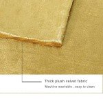 Gold Velvet Throw Pillow Covers - 2 Pack, 18x18