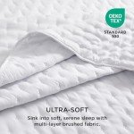 Bedsure Queen Size Ultra Soft Quilt Set