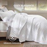 Bedsure Queen Size Ultra Soft Quilt Set