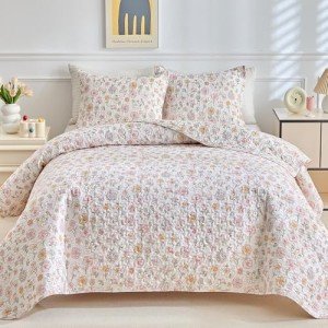 DuShow Queen 3-Piece Lightweight Quilt Set