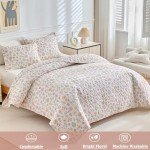 DuShow Queen 3-Piece Lightweight Quilt Set