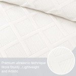 Modern Striped Queen Quilt Set - 3 Pieces