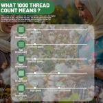 Luxury 1000 Thread Count Egyptian Cotton Queen Set