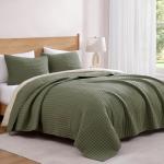 Olive Green Queen Quilt Set with Pillow Shams