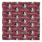 Florida State Seminoles Twin Bed in a Bag Set