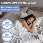 Luxury Egyptian Cotton Queen Sheet Set - White