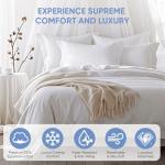 Luxury Egyptian Cotton Queen Sheet Set - White