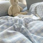 Blue and White Gingham Queen Duvet Cover Set
