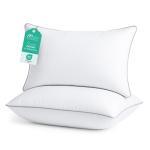 Queen Size Down Alternative Pillow Set of 2