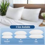 Luxury Hotel Quality Pillows - Set of 2
