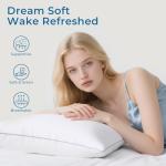 Queen Size Down Alternative Pillow Set of 2