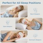 Queen Size Down Alternative Pillow Set of 2