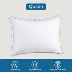 Queen Size Down Alternative Pillow Set of 2