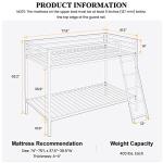 Loft Bunk Bed Twin Over Twin with Ladder
