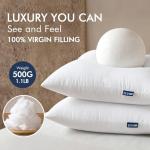 MIULEE 18x18 Inch Throw Pillow Inserts - 2 Pack